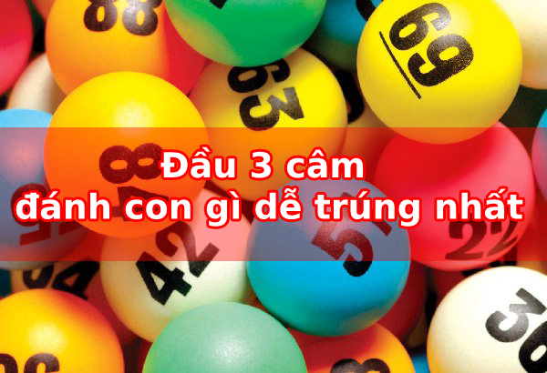 Câm đầu 3 đánh con gì may mắn – Bí kíp đánh đề đầu lô câm 