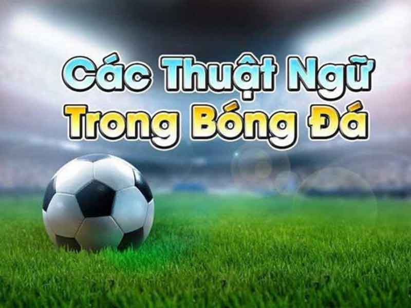 các thuật ngữ cá cược tại Vinbet